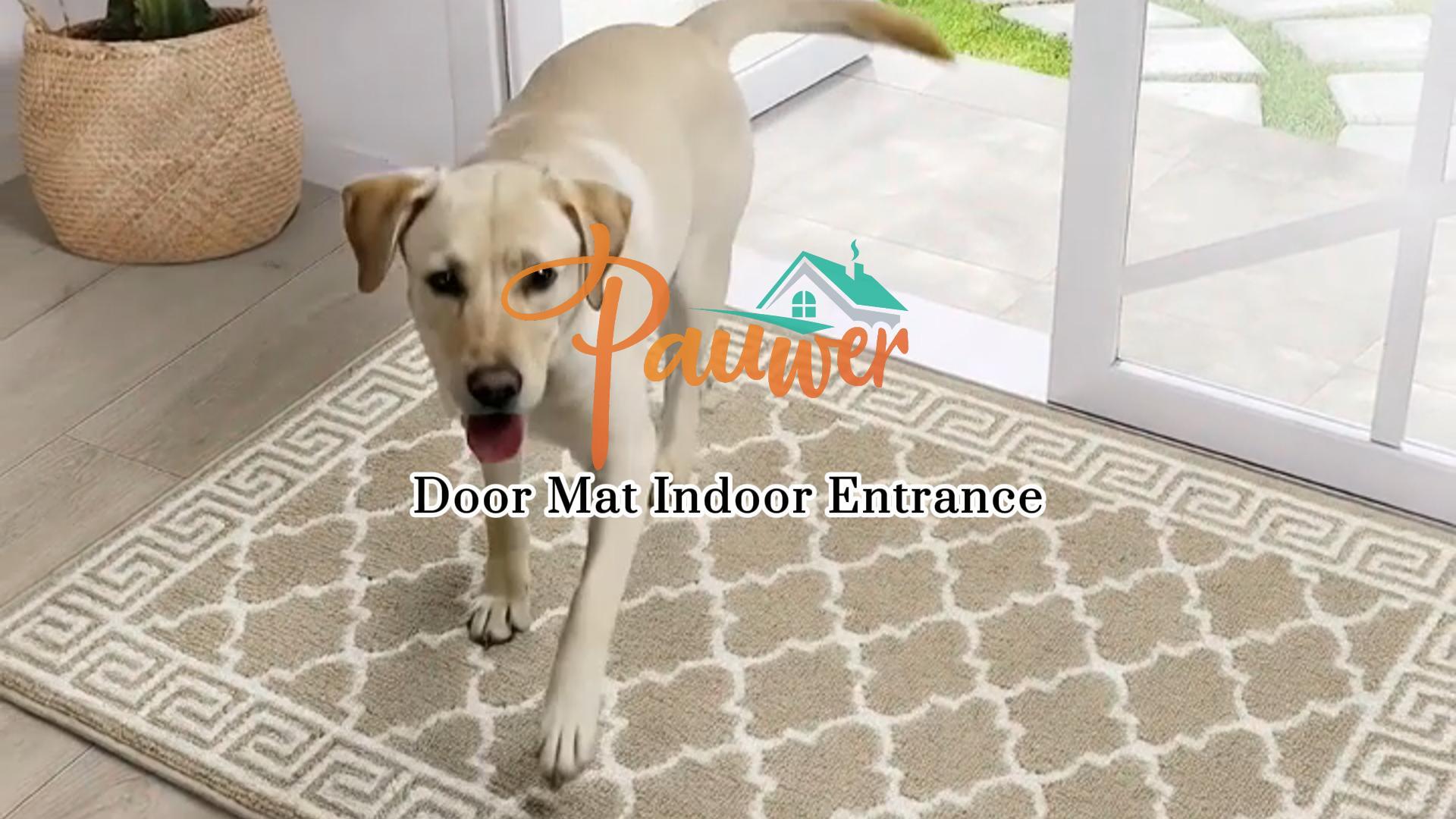 Amazon.com: Pauwer Door Mat Indoor Entrance 20